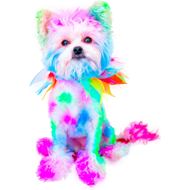 Warren London Canine Color Semi Perm Coat Color Shampoo for Dogs Spa Product White Smoke Blue,Red,Pink,Teal,Rose Gold,Purple,Green,Lilac,All 8 Pack of Colors