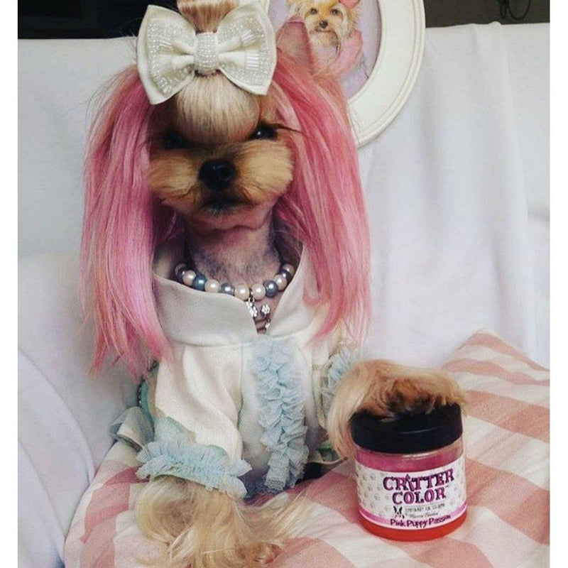 Warren London Critter Color - Temporary Pet Fur Coloring/Dog Dye Spa Product Gray Alexas Pink Kiss,Sweet Avery Red,Blue Collar Worker,Hazy Shade of Purple,Orange County House Hounds,Yellow Snow,Central Park Green,ALL 7 COLORS PLUS FREE BRUSH