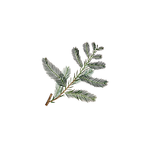 Rustic Strength Cypress Essential Oil Scenting Oil White Smoke