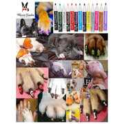 Warren London Pawdicure Polish Pens - Choose From 13 Colors! - Dog Nail Polish Dog Nail Polish White Smoke Pink,Blue,Red,Purple,Yellow,Black,White,Silver,Gold,Neon Pink,Neon Purple,Neon Orange,Neon Green