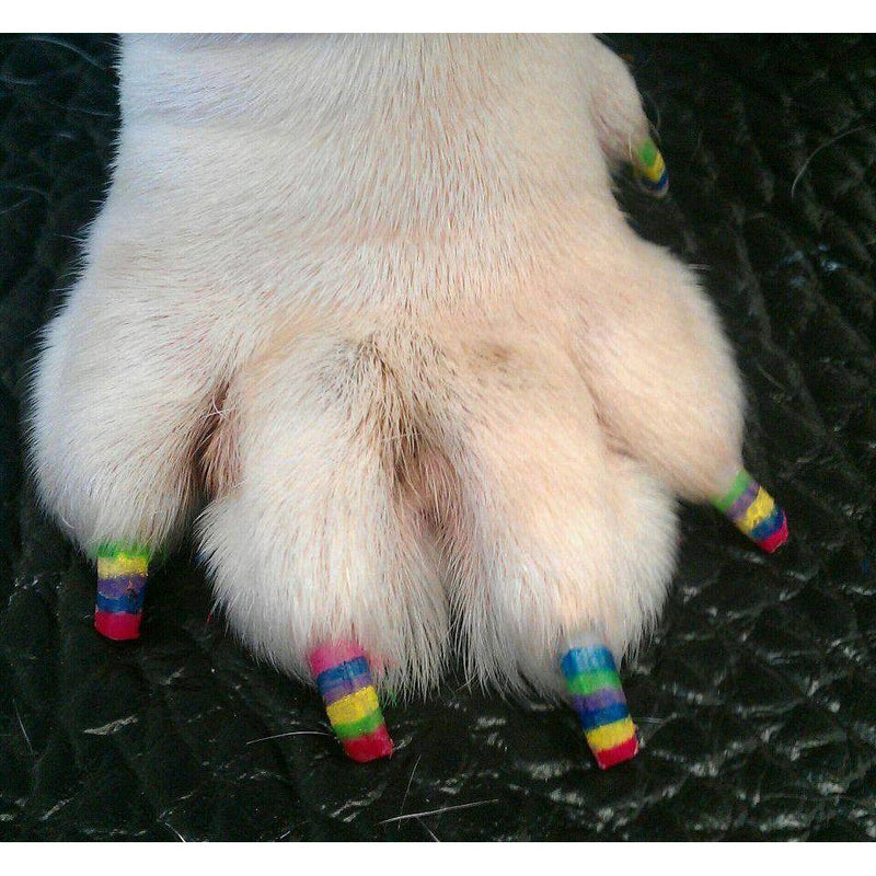Warren London Pawdicure Polish Pens - Choose From 13 Colors! - Dog Nail Polish Dog Nail Polish Black Pink,Blue,Red,Purple,Yellow,Black,White,Silver,Gold,Neon Pink,Neon Purple,Neon Orange,Neon Green