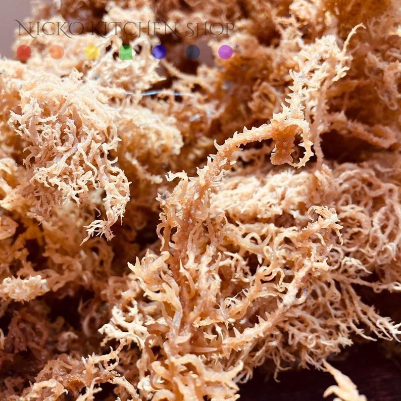 Nicko Kitchen Shop Dehydrated Wildcrafted Sea Moss | 100% Wildcrafted | Irish Moss Wholesale Sienna 2oz,6oz