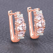 Bids.com 1.32 Carat Genuine Morganite and White Topaz .925 Sterling Silver Earrings Earrings Dim Gray