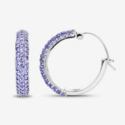 Bids.com 3.06 Carat Genuine Tanzanite .925 Sterling Silver Earrings Earrings White Smoke
