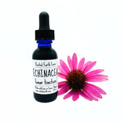 Rooted Earth Farm + Apothecary Echinacea Tincture Tinctures + Capsules White Smoke 1 oz,2 oz