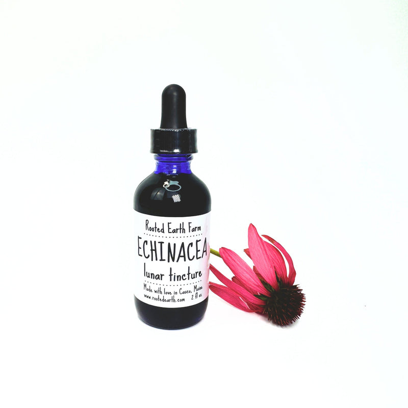 Rooted Earth Farm + Apothecary Echinacea Tincture Tinctures + Capsules White Smoke 1 oz,2 oz