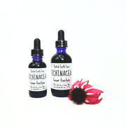 Rooted Earth Farm + Apothecary Echinacea Tincture Tinctures + Capsules White Smoke 1 oz,2 oz