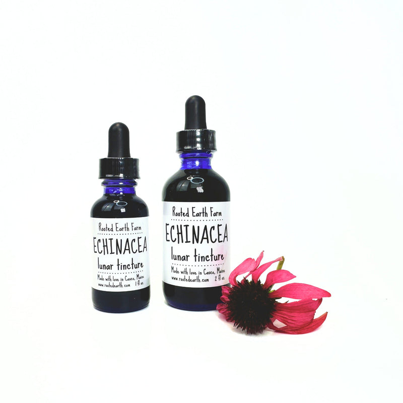 Rooted Earth Farm + Apothecary Echinacea Tincture Tinctures + Capsules White Smoke 1 oz,2 oz