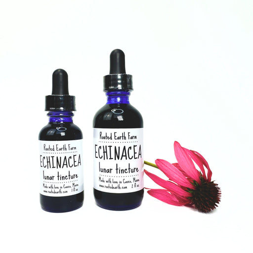 Rooted Earth Farm + Apothecary Echinacea Tincture Tinctures + Capsules White Smoke 1 oz,2 oz