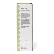 Chella effortless hydration water bottle Tools Lavender