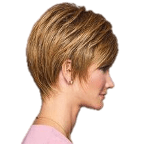VIP Extensions Elation by Gabor Wig Black Black,Dark Brown,Medium Brown,Light Brown,Brown/Blonde,Dark Blonde,Medium Blonde,Light Blonde,Light Red,Medium Red,Brown Grey,Light Grey