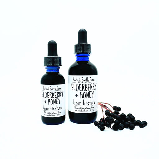 Rooted Earth Farm + Apothecary Elderberry + Honey Tincture Tinctures + Capsules Lavender 1 oz,2 oz