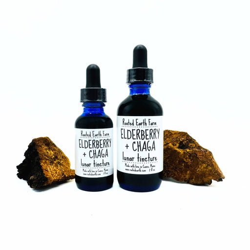 Rooted Earth Farm + Apothecary Elderberry and Chaga Tincture Tinctures + Capsules White Smoke 1 oz,2 oz