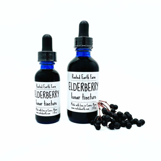 Rooted Earth Farm + Apothecary Elderberry Tincture Tinctures + Capsules White Smoke 1 oz,2 oz