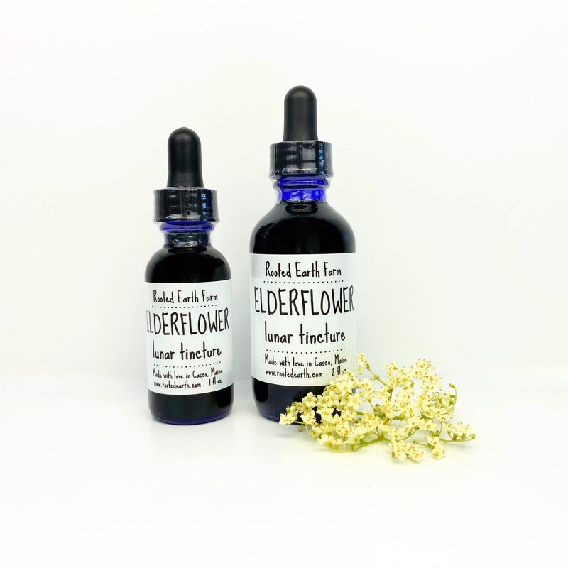 Rooted Earth Farm + Apothecary Elderflower Tincture Tinctures + Capsules White Smoke 1 oz,2 oz