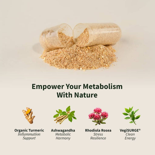 Snap Supplements Energy & Metabolism Antique White