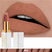 EpiLynx Hydrating Matte Lipstick for Dry Lips Lipstick White Smoke LS-009 #2 — Sable