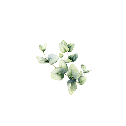 Rustic Strength Eucalyptus Essential Oil Scenting Oil White Smoke
