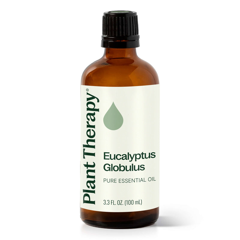 Plant Therapy Eucalyptus Globulus Essential Oil Essential Oil White Smoke 100 mL