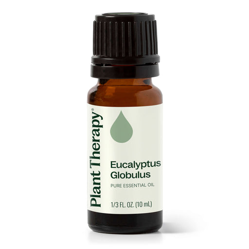 Plant Therapy Eucalyptus Globulus Essential Oil Essential Oil White Smoke 10 mL