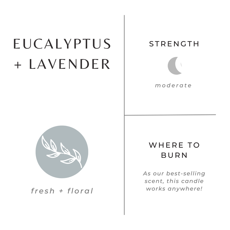 Slow North Eucalyptus + Lavender - Signature Soy Candle Frosted Candles Gray