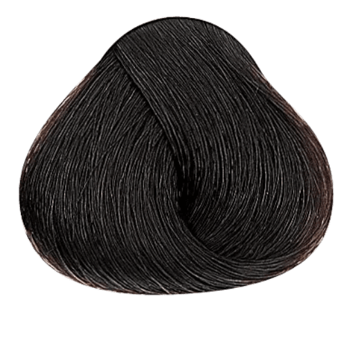 VIP Extensions Alfaparf Milano Evolution of the Color Naturals, 2.05 oz Permanent Hair Color Dark Slate Gray 6NI Intense Dark Blonde                     (Intense Naturals )