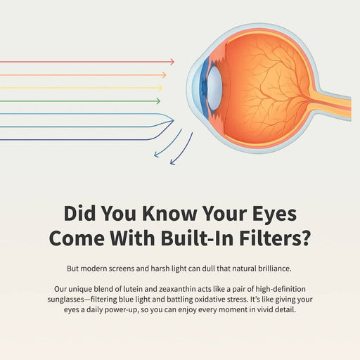 Snap Supplements Eye Health Lavender