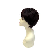 VIP Extensions Femi Collection Alana Sepia Wig Wig White Smoke 99J