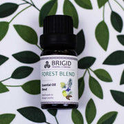 Brigid Trading Company Diffuser Oil Blends - Essential and Premium Fragrance Blends diffuser oil Light Gray Forest Blend (Essential Oil Blend)