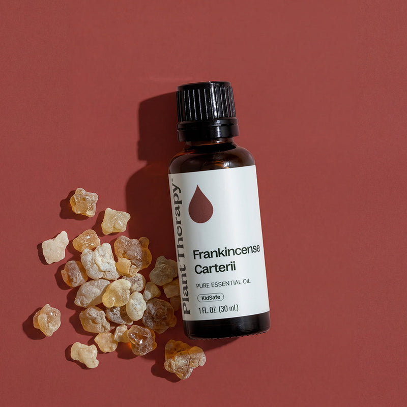 Plant Therapy Frankincense Carterii Essential Oil Essential Oil Sienna 10 mL,30 mL,100 mL