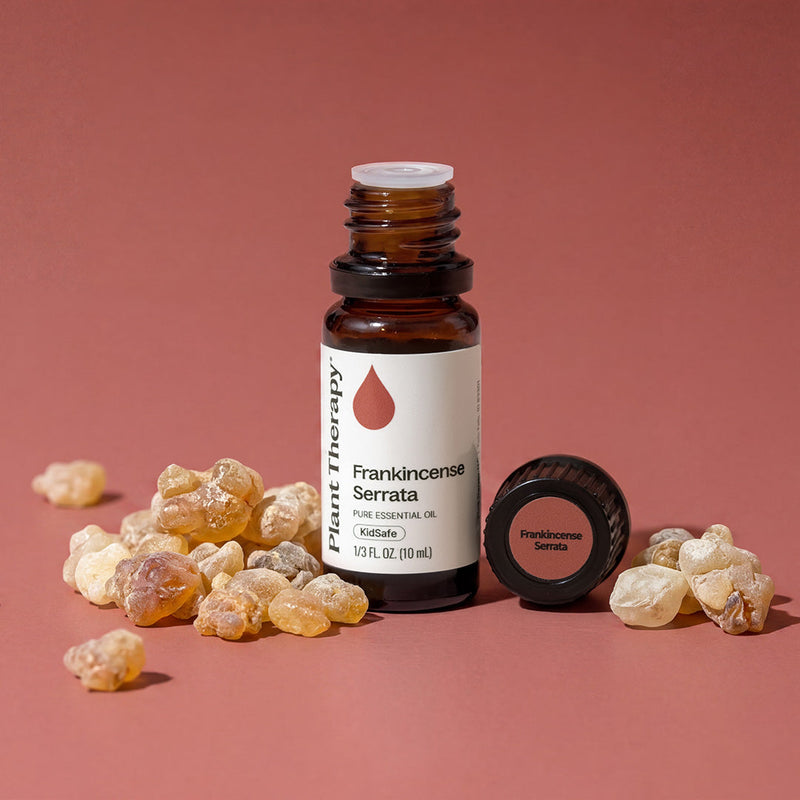 Plant Therapy Frankincense Serrata Essential Oil Essential Oil Maroon 10 mL,30 mL,100 mL