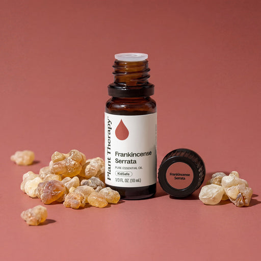 Plant Therapy Frankincense Serrata Essential Oil Essential Oil Maroon 10 mL,30 mL,100 mL