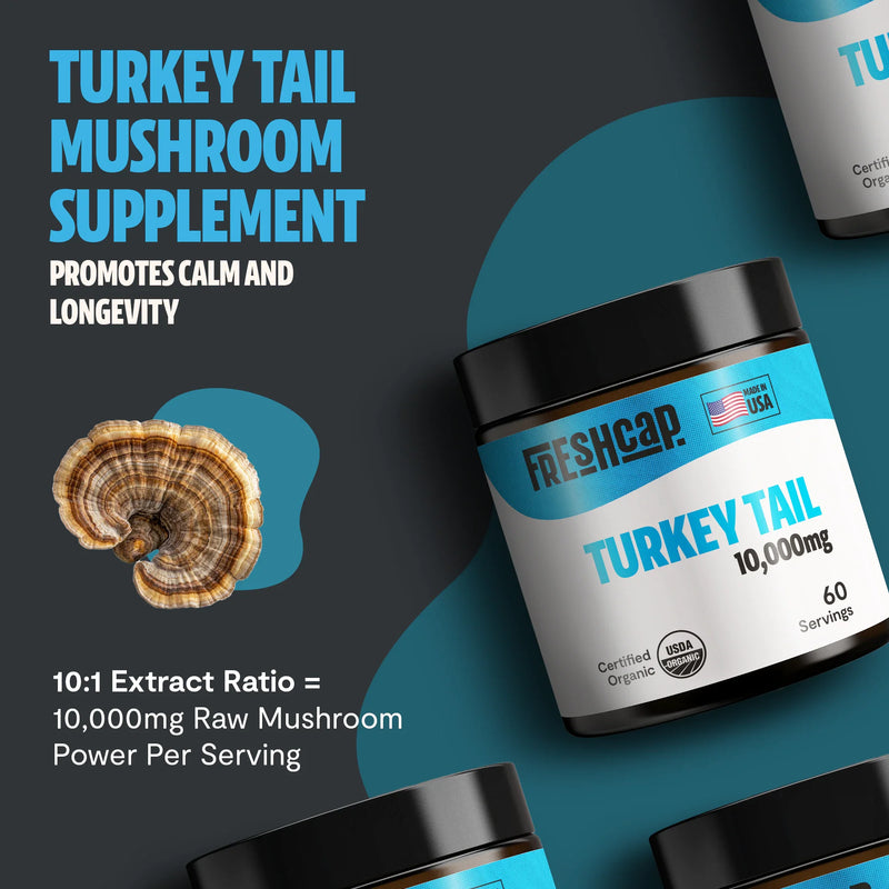 FreshCap Mushrooms Organic Turkey Tail Mushroom Powder Powder Dark Slate Gray