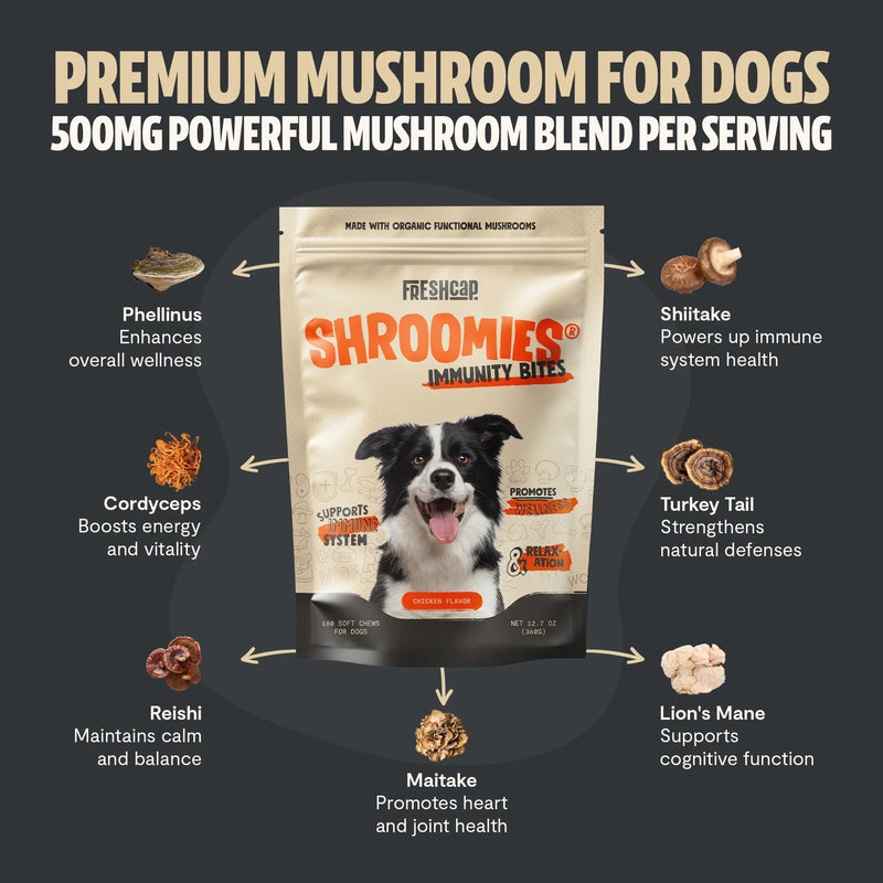 FreshCap Mushrooms Organic Mushroom Complex for Dogs Pet Treats Dark Slate Gray