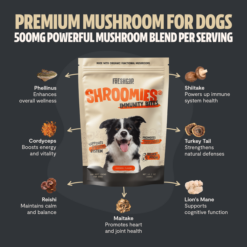 FreshCap Mushrooms Organic Mushroom Complex for Dogs Pet Treats Dark Slate Gray