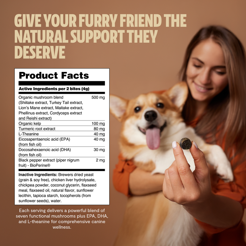 FreshCap Mushrooms Organic Mushroom Complex for Dogs Pet Treats Sienna