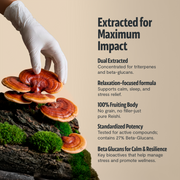 FreshCap Mushrooms Organic Reishi Mushroom Powder Powder Gray
