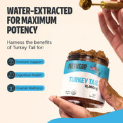 FreshCap Mushrooms Organic Turkey Tail Mushroom Powder Powder Seashell