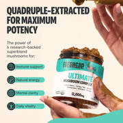 FreshCap Mushrooms Organic Mushroom Extract Powder Blend Powder Seashell