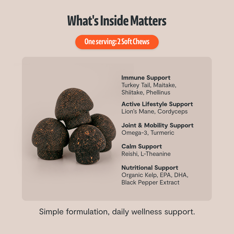 FreshCap Mushrooms Organic Mushroom Complex for Dogs Pet Treats Gray