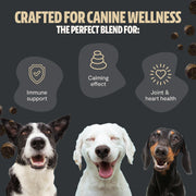 FreshCap Mushrooms Organic Mushroom Complex for Dogs Pet Treats Dark Slate Gray