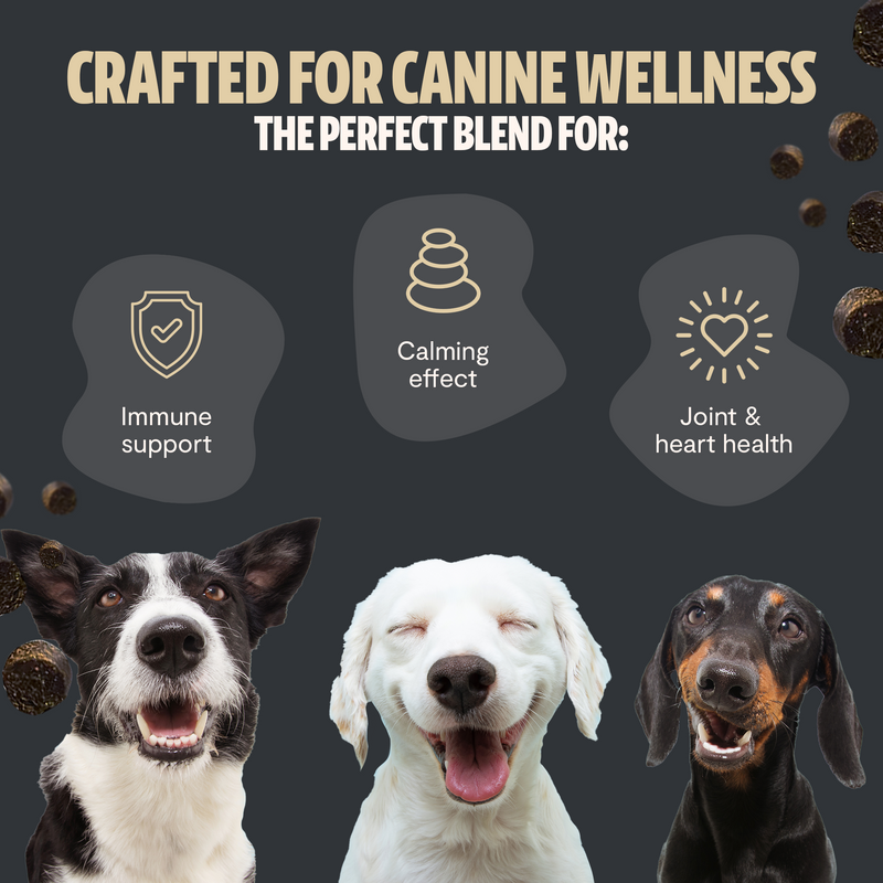FreshCap Mushrooms Organic Mushroom Complex for Dogs Pet Treats Dark Slate Gray
