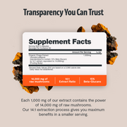 FreshCap Mushrooms Chaga Mushroom Extract Capsules Capsules Light Gray