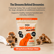 FreshCap Mushrooms Organic Mushroom Complex for Dogs Pet Treats Tan