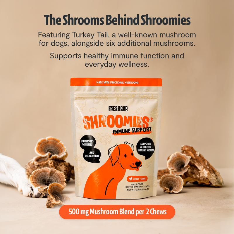 FreshCap Mushrooms Organic Mushroom Complex for Dogs Pet Treats Tan