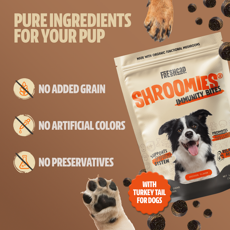 FreshCap Mushrooms Organic Mushroom Complex for Dogs Pet Treats Sienna