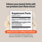 FreshCap Mushrooms Organic Lion’s Mane Mushroom Powder Powder Light Gray 60 Servings