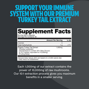 FreshCap Mushrooms Organic Turkey Tail Mushroom Capsules Capsules Dark Slate Gray 60 Capsules,120 Capsules