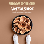 FreshCap Mushrooms Organic Mushroom Complex for Dogs Pet Treats Rosy Brown