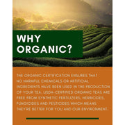 Gardenika Shop Turmeric Ginger Chai Tea, Anti-Inflammatory - Ayurvedic - Organic Loose Leaf Tea Chocolate